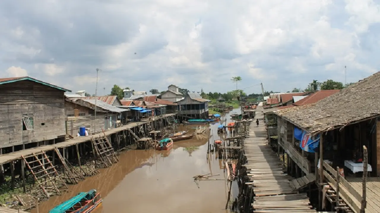 sungai di Kabupaten Tanjabbar Jambi