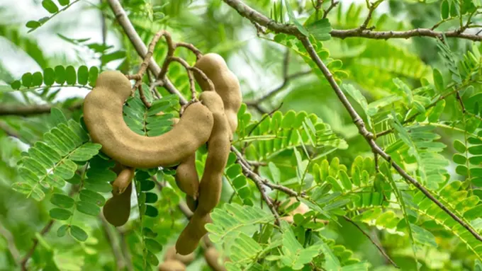 Foto: copyright by Thinkstock.com