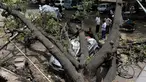 Sejumlah warga melihat mobil yang tertimpa pohon yang tumbang akibat  badai angin kencang di New Delhi, India (16/5). (AFP Photo/Sajjad Hussain)