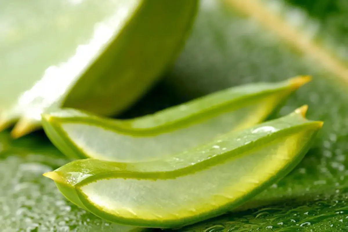 Foto: copyright thinkstockphotos.com