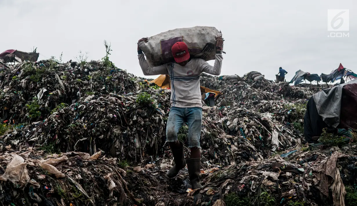 Pemulung membawa sampah di TPA Bantar Gebang, Kota Bekasi, Jawa Barat.  (Liputan6.com/Yoppy Renato)