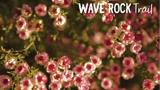 Wave Rock Trail