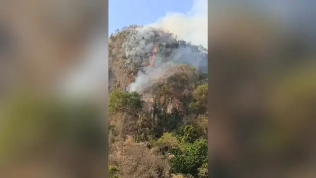 Kebakaran hutan dan lahan (karhutla) di kawasan Taman Nasional Bantimurung-Bulusaraung (TN Babul).