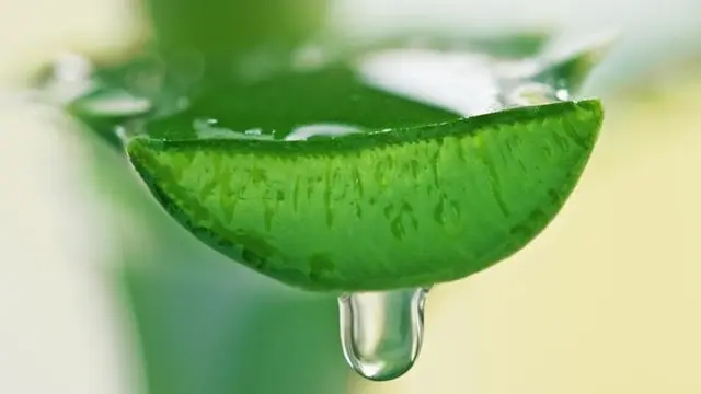 Ilustrasi. (foto: Pinterest/Beautylish).