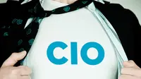 CIO (lerablog.org)