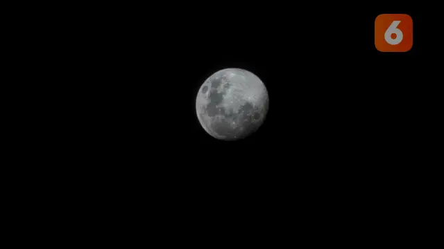 Hasil foto Galaxy S23 Ultra 5G
