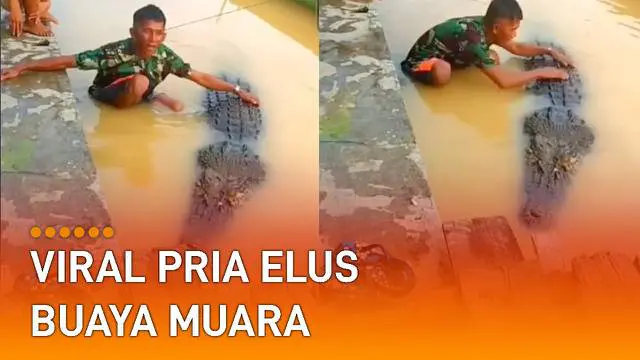 VIDEO: Viral Pria Elus Buaya Muara, Diperlakukan Bak Putri Sendiri