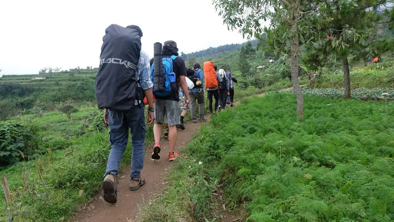 Pendaki Gunung