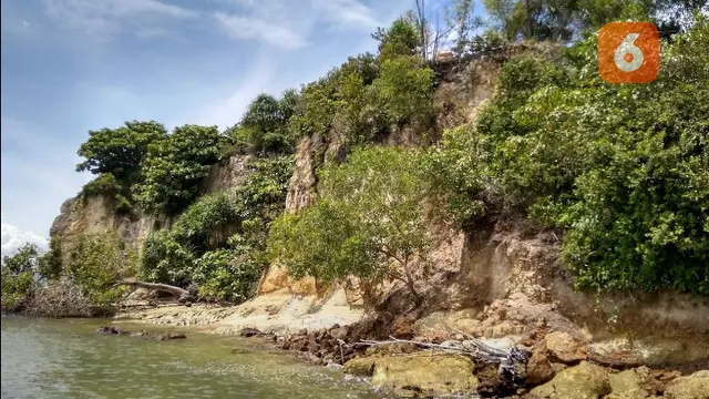 Pasir laut