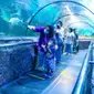 Penerapan jaga jarak di area tunnel Sea World Ancol - terdapat garis pembatas jarak fisik bagi pengunjung (dok.Taman Impian Jaya Ancol)