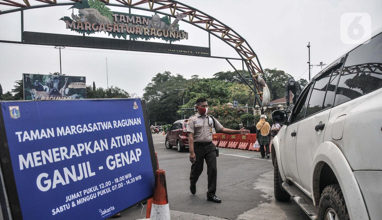 Mobil berpelat ganjil putar balik saat pemberlakuan ganjil genap di Taman Margasatwa Ragunan, Jakarta, Minggu (24/10/2021). Sistem ganjil genap di tempat wisata berlaku pada hari Jumat mulai pukul 12.00-18.00 WIB serta Sabtu dan Minggu pukul 07.00-14.30 WIB. (merdeka.com/Iqbal S. Nugroho)