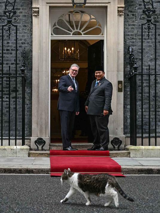 Kehadiran Larry the Cat seakan turut menyambut kunjungan Prabowo Subianto di depan pintu Downing Street. Tampak dalam foto, Larry the Cat (depan) berjalan melewati Perdana Menteri Inggris Keir Starmer (kiri) saat menyambut Presiden Indonesia Prabowo Subianto di Downing Street untuk pertemuan mereka di pusat kota London pada 20 Januari 2026. (JUSTIN TALLIS/POOL/AFP)