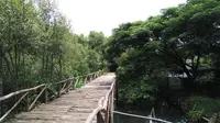 Taman Wisata Alam Mangrove Angke Kapuk / Sumber: jakarta-tourism.go.id