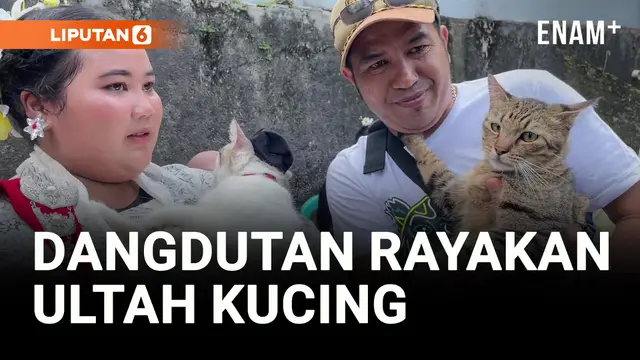 Heboh! Ulang Tahun Kucing Dimeriahkan Orkes Dangdut