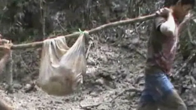 Petugas Temukan 2 Korban Longsor di Pagar Alam
