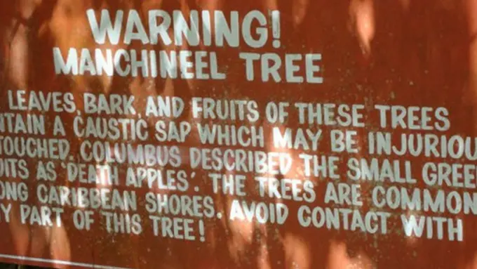 Peringatan Tentang Bahaya Pohon (c) odditycentral.com