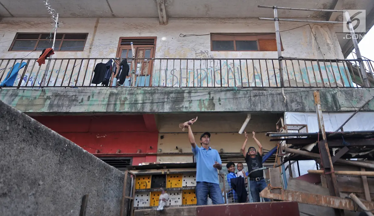Warga menerbangkan burung peliharaannya di Wisma Ciliwung, Jakarta, Senin (17/9). Wisama Ciliwung saat ini digunakan sebagai kontrakan, pabrik rumahan, dan kantor jasa ekspedisi. (Merdeka.com/Iqbal Nugroho)