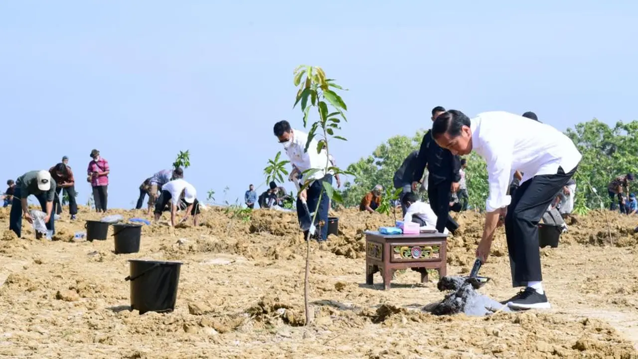 Presiden Joko Widodo atau Jokowi meluncurkan food estate atau lumbung pangan di Kabupaten Gresik Jawa Timur, Senin (22/8/2022)