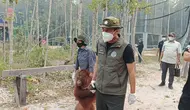 Langkah Kemenhut Agar Orangutan Terhindar Asap Kebakaran Hutan