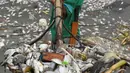 Pekerja menunjukkan ikan mati yang hanyut ke daratan Freedom Island saat mengumpulkannya di sepanjang Teluk Manila, Filipina, Jumat (11/10/2019). Pejabat Departemen Pertanian mengatakan pemerintah mencurigai kematian ribuan ikan tersebut disebabkan oleh penceman air di Teluk Manila. (Ted ALJIBE/AFP)