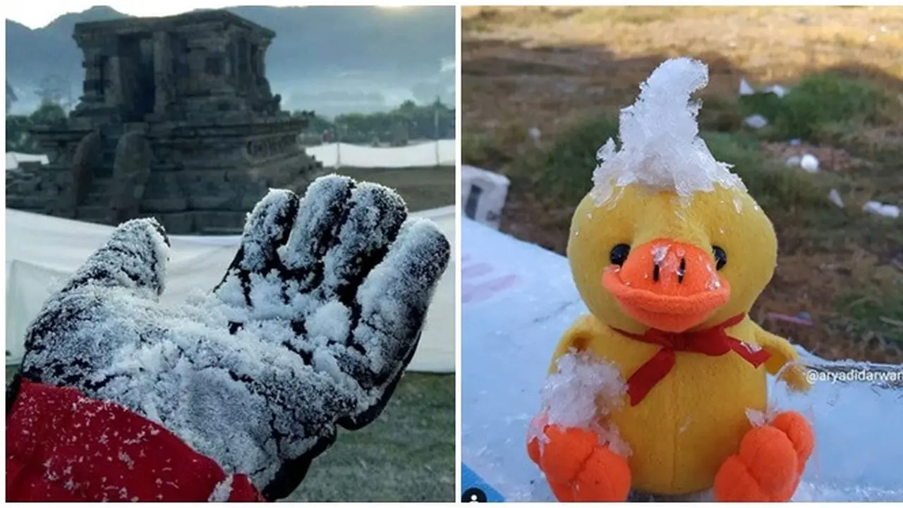 Bersuhu Dingin, Ini Potret Dieng Bersalju Seperti di Eropa