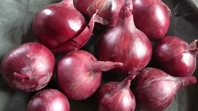 Manfaatkan Bawang Merah, Begini Modus Baru Penyelundupan Narkoba