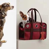 Intip pet collection keluaran luxury brand yang bikin hewan peliharaan tampil mewah (Louis Vuitton, Hermes)