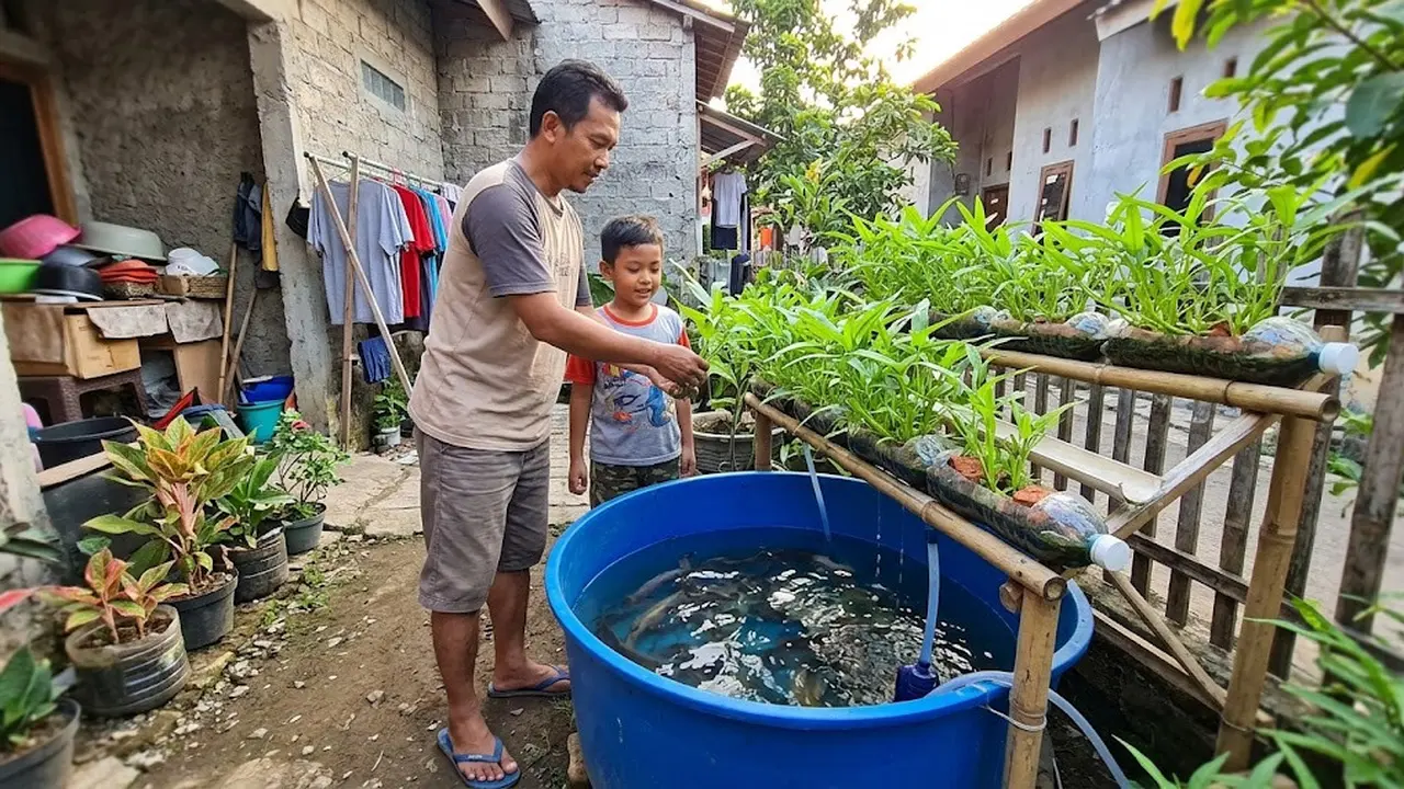 Cara Menanam Kangkung dengan Sistem Aquaponik Sederhana Bersama Ikan Lele di Rumah