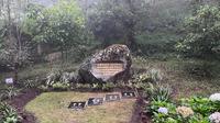 Taman Sakura di Lawu, Tawangmangu, Cemara Kandang, Jawa Tengah. (Liputan6.com/Raden Trimutia Hatta)