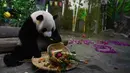 Panda raksasa Shunshun menikmati makanannya di Kebun Raya dan Taman Margasatwa Tropis Hainan, Haikou, ibu kota Provinsi Hainan, China selatan, pada 26 Oktober 2020. (Xinhua/Yang Guanyu)