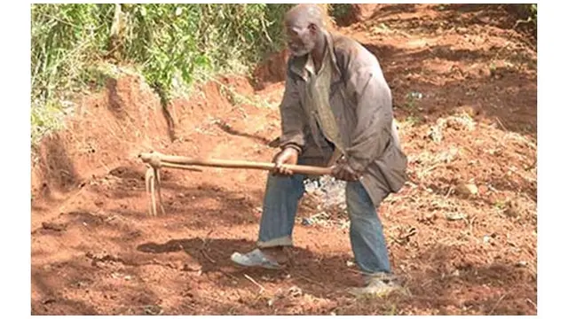 Nicholas Muchami