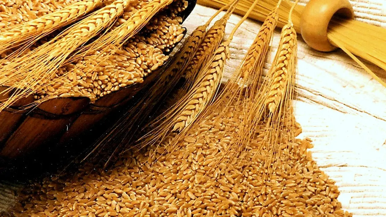 10 Negara Penghasil Gandum Terbesar di Dunia