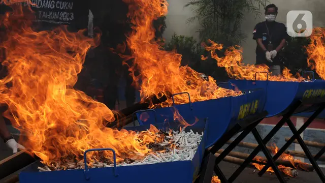 pemusnahan bea cuka rokok ilegal dan miras