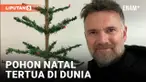 POHON NATAL USIA 103 TAHUN DIJUAL SEHARGA RP66,5 JUTA DI INGGRIS