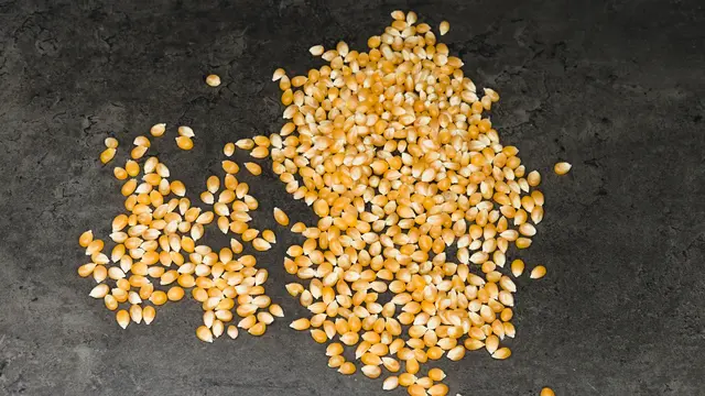 ilustrasi diet hominy untuk menurunkan berat badan/unsplash