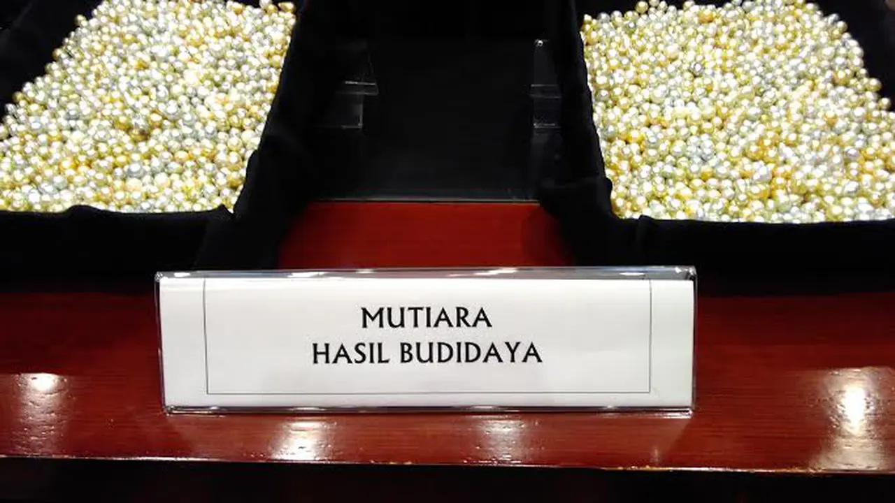 Ekspor Ilegal Bikin Perdagangan Mutiara RI Kalah 