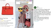 Reihana Wijayanto Adalah Kepala Dinas Kesehatan Provinsi Lampung yang Menjabat Belasan Tahun. Kadinkes Lampung Reihana pada Minggu, 16 April 2023, Mendadak Viral karena Diketahui Mengoleksi Tas Mewah (twitter.com/partaisocmed)