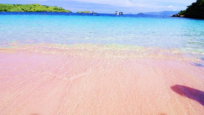 Pantai Tangsi Menjamah Pink Beach Nya Lombok Lifestyle Fimela Com