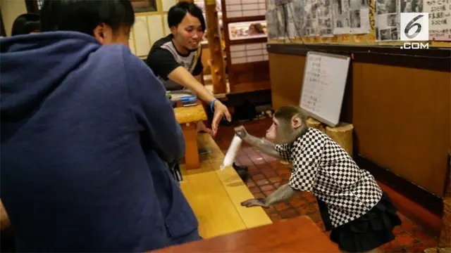 Sebuah restoran di Jepang mempekerjakan kera sebagai pelayan mereka. Momen ini menjadi sebuah pemandangan tak lazim bagi para pengunjung.