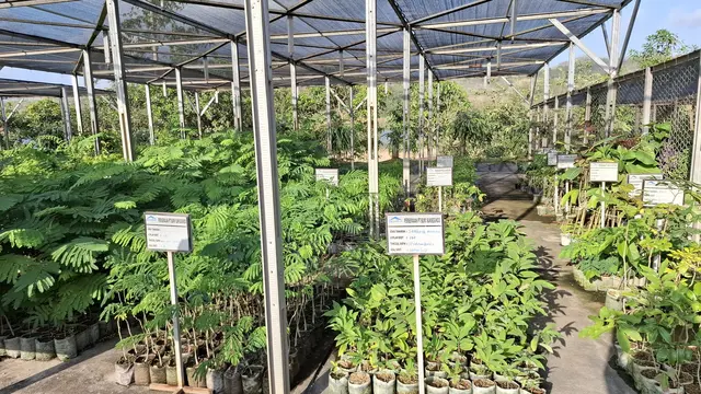Anak usaha PT Merdeka Copper Gold Tbk (MDKA) yakni PT Bumi Suksesindo telah melakukan reklamasi lahan eks lokasi tambang seluas 77,3 hektar di kawasan pertambangan Tujuh Bukit, Banyuwangi (Foto: Liputan6.com/Agustina Melani)