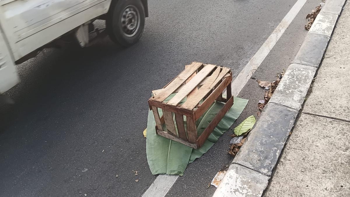 Jasad Bayi Dibuang di Jalan Fly Over Depok, Kondisinya Mengenaskan