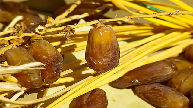 Kurma