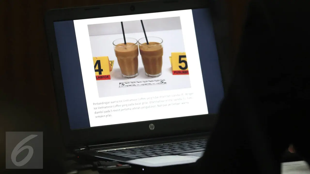 20160803-Giliran Ahli Toksikologi Forensik jadi Saksi Kopi Maut