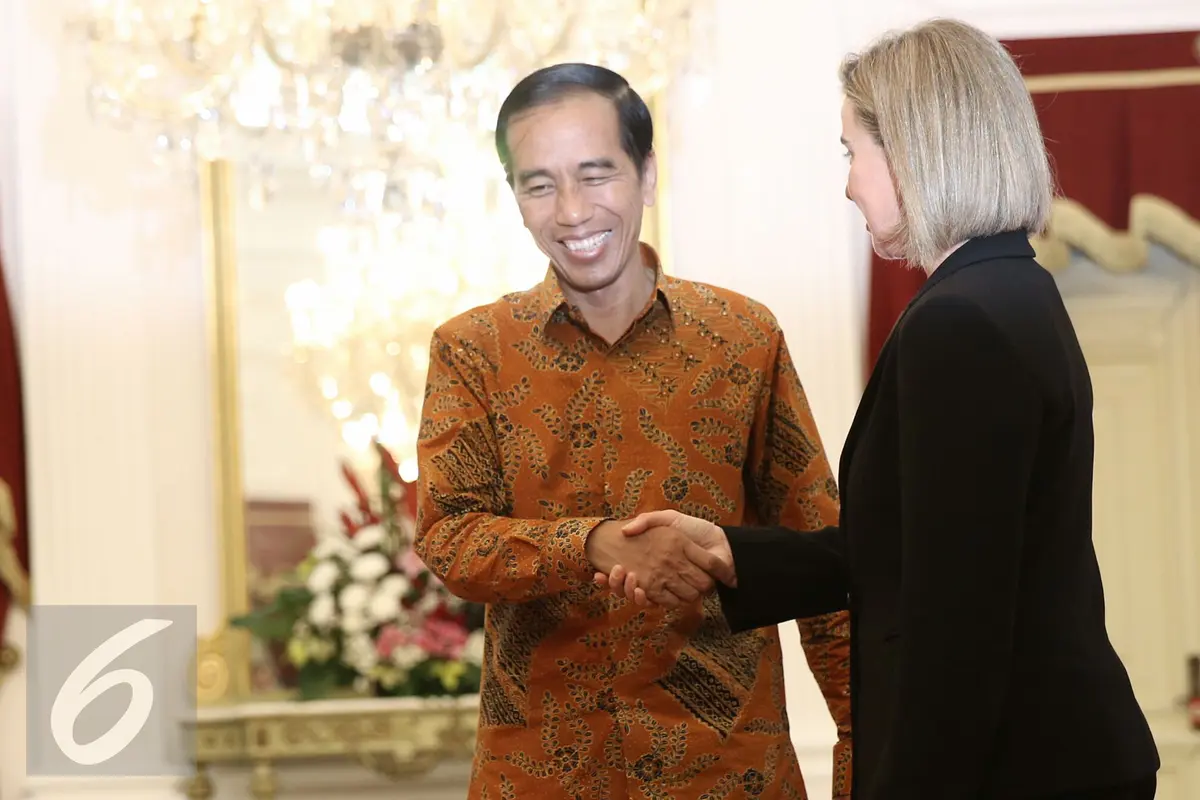 20160408- Presiden Jokowi Terima Delegasi  Uni Eropa di Istana Negara-Jakarta- Faizal Fanani