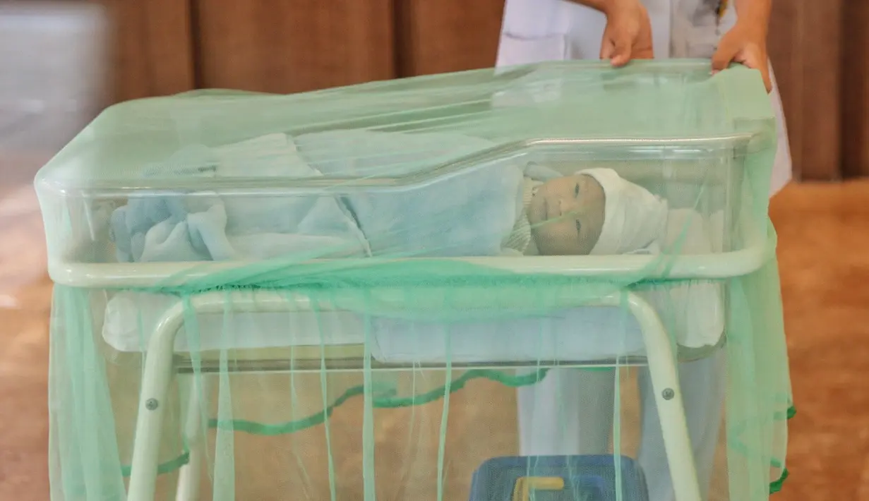 Nord Kiano Julian anak pertama penyanyi Rinni lahir dengan berat 3,4 kg dan panjang 49 cm. Banyak yang menyebut anak pertama pasangan ini mirip dengan ayahnya. (Adrian Putra/Bintang.com)