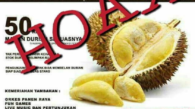 Awas Hoax Pesta Durian Regional Liputan6com