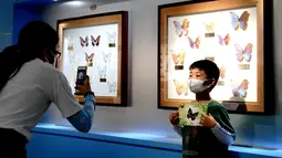 Orang-orang mengunjungi Museum Entomologi Shanghai di Shanghai, China timur (24/8/2020). Selama Festival Sains Shanghai yang berlangsung dari 23-29 Agustus, Museum Entomologi Shanghai akan menyuguhkan livestreaming tentang sains, pengalaman interaktif. (Xinhua/Zhang Jiansong)