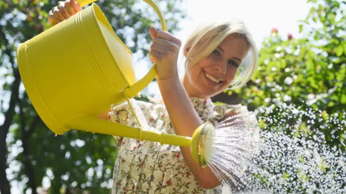 Photo copyright thinkstockphotos.com