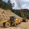 Dairi Prima Mineral Siap Garap Tambang Bawah Tanah Anjing Hitam Berkapasitas 1 Juta Ton Bijih