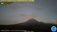 Gunung Semeru mengalami erupsi Senin pagi (19/2/2024), pukul 04.56 WIB. (Liputan6.com/ Dok PVMBG)